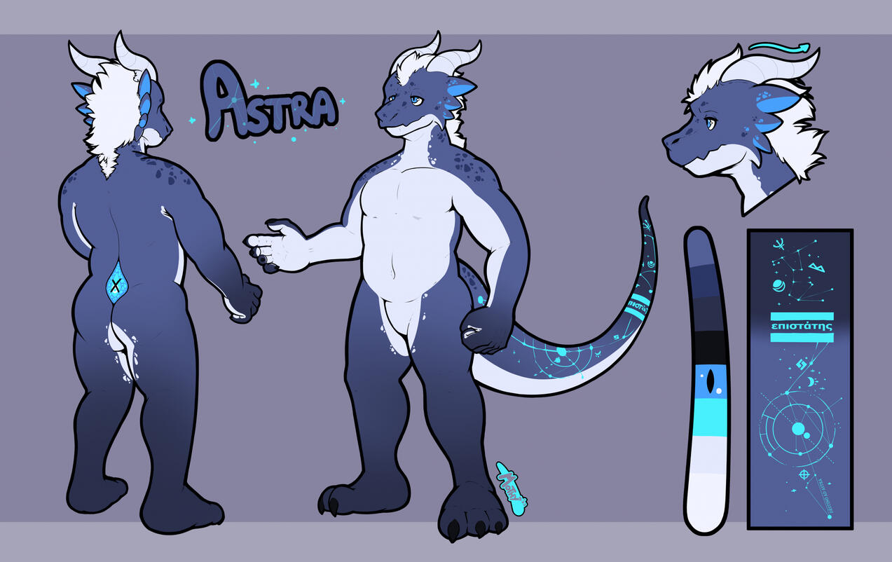 Front & Back + 1 Expression Headshot + Detail